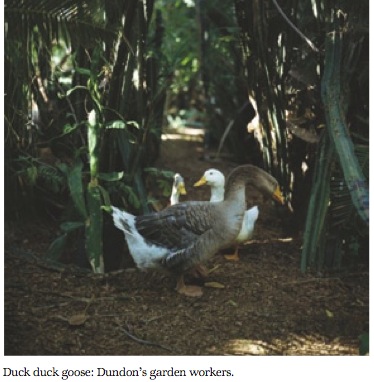 picture-26 picture-26