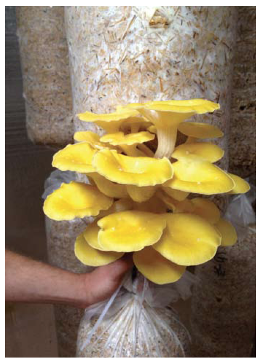 Screen Shot 2013-09-06 at 1.14.46 PM